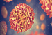 Imagen MonkeyPox