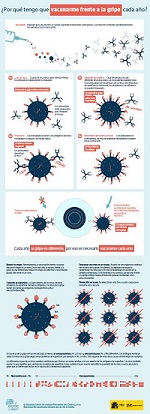  ¿Por qué tengo que vacunarme frente a la gripe cada año?
